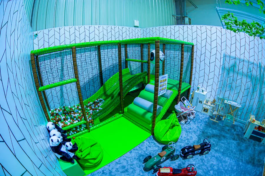 Mała Panda strona główna Tomaszów 110