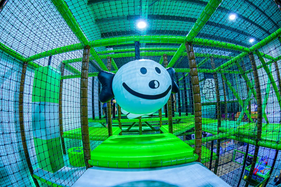 Mała Panda strona główna Tomaszów 81